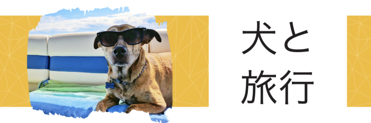 犬と旅行